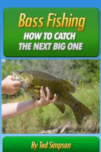 Bass Fishing How To Catch The Next Big One Book Cover