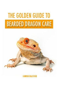The Golden Guide To Bearded Dragon Care
